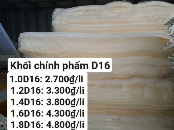 Khối chính phẩm D16